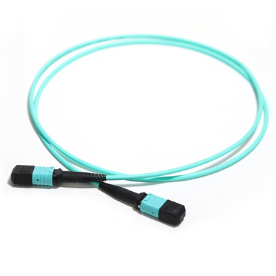 ซื้อ Factory Outlet MTP/MPO Optical Patch Chord Blue OM3 Duplex GR-1435-Core สำหรับ WLAN Net online manufacture